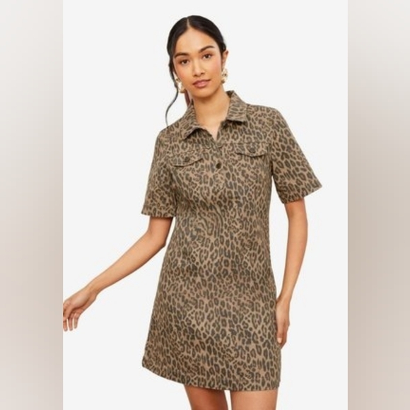 Scotch & Soda Dresses & Skirts - NWT Scotch & Soda Leopard Mini A-Line Dress Size Small